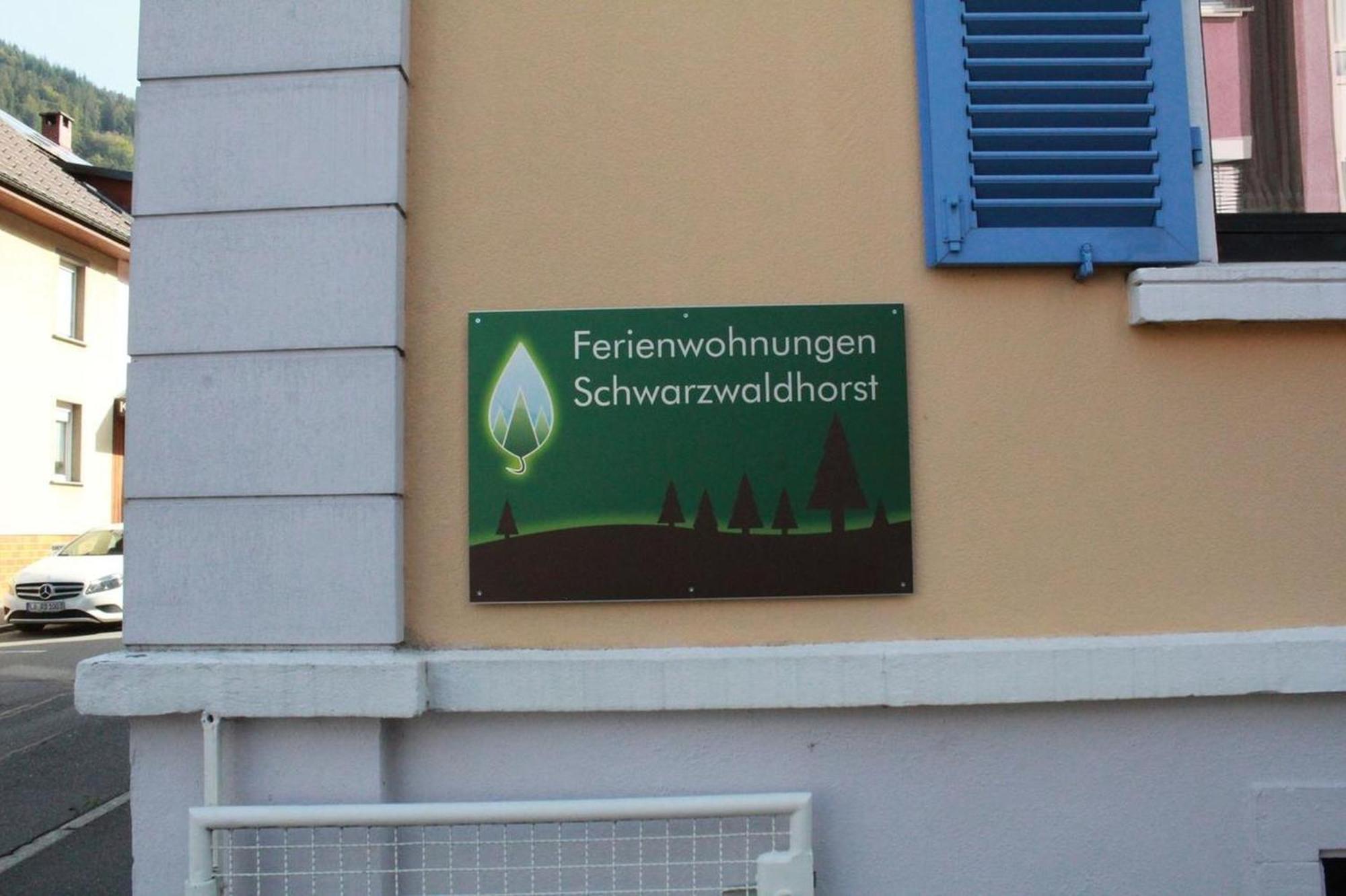 Schwarzwaldhorst Fewo 2 - Mit 4 Schlafzimmer - Todtnau, Liftverbund Feldberg Esterno foto