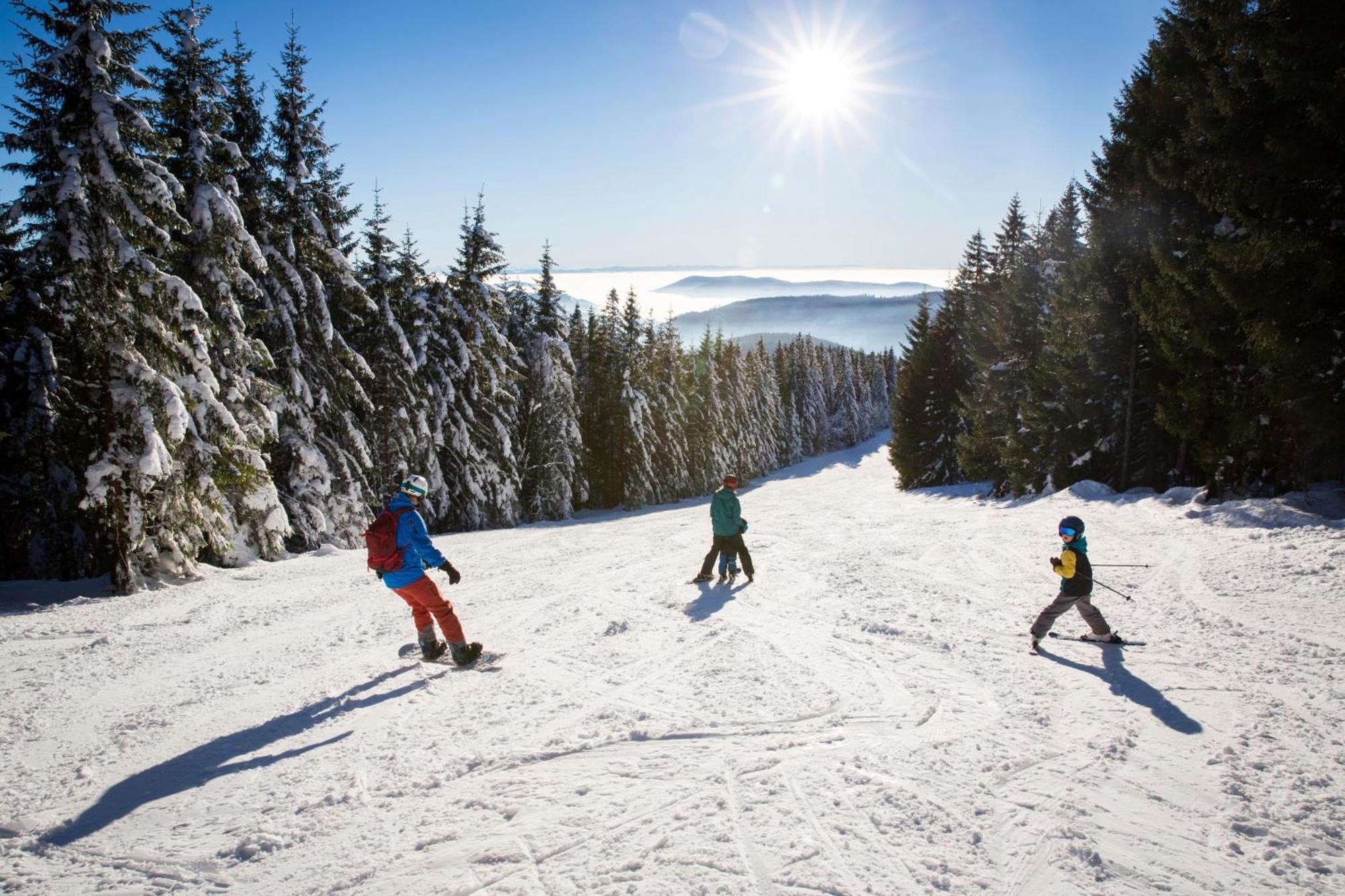 Schwarzwaldhorst Fewo 2 - Mit 4 Schlafzimmer - Todtnau, Liftverbund Feldberg Esterno foto
