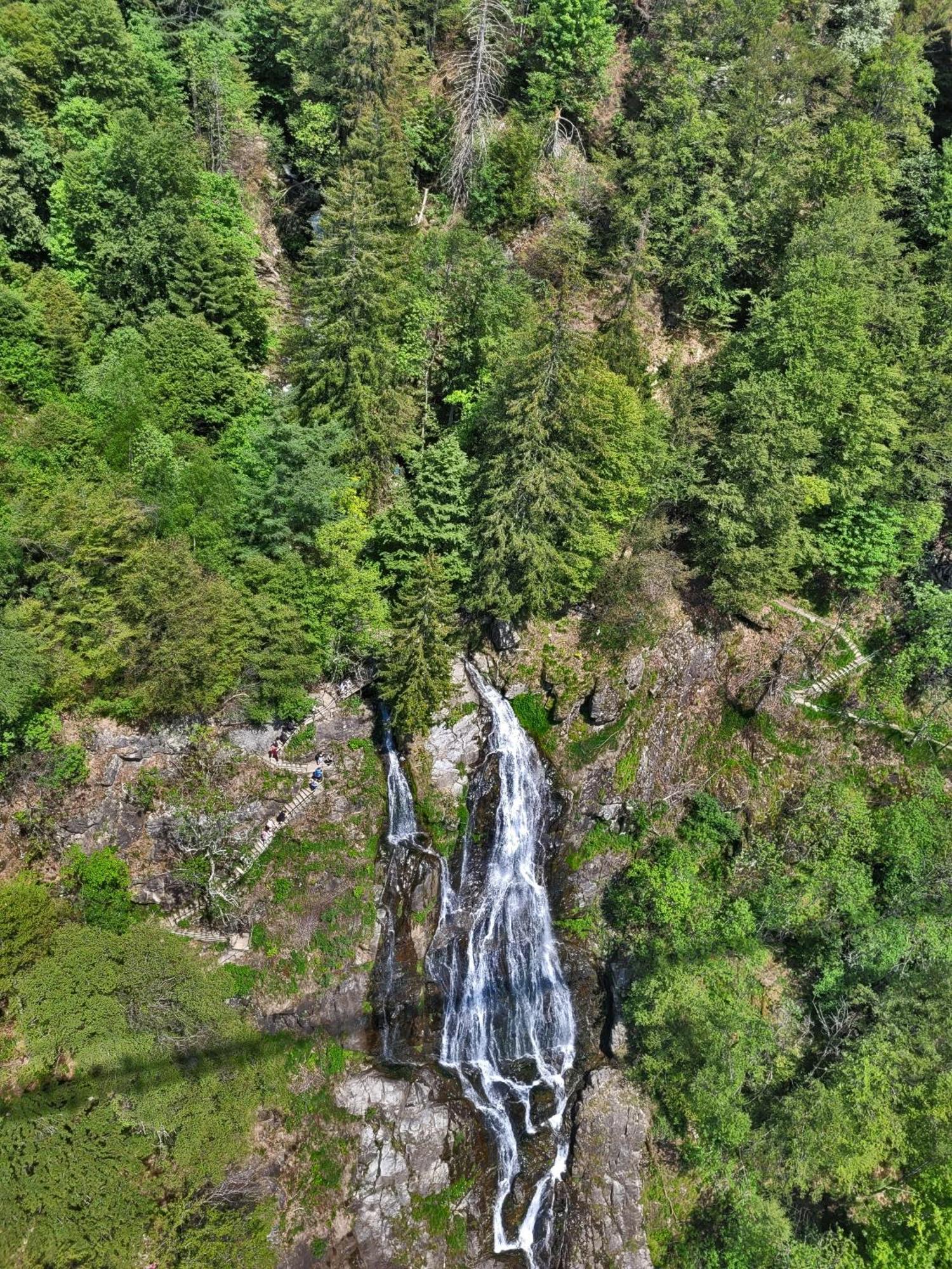 Schwarzwaldhorst Fewo 2 - Mit 4 Schlafzimmer - Todtnau, Liftverbund Feldberg Esterno foto